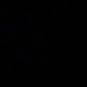 Meet your Posher, Dominic